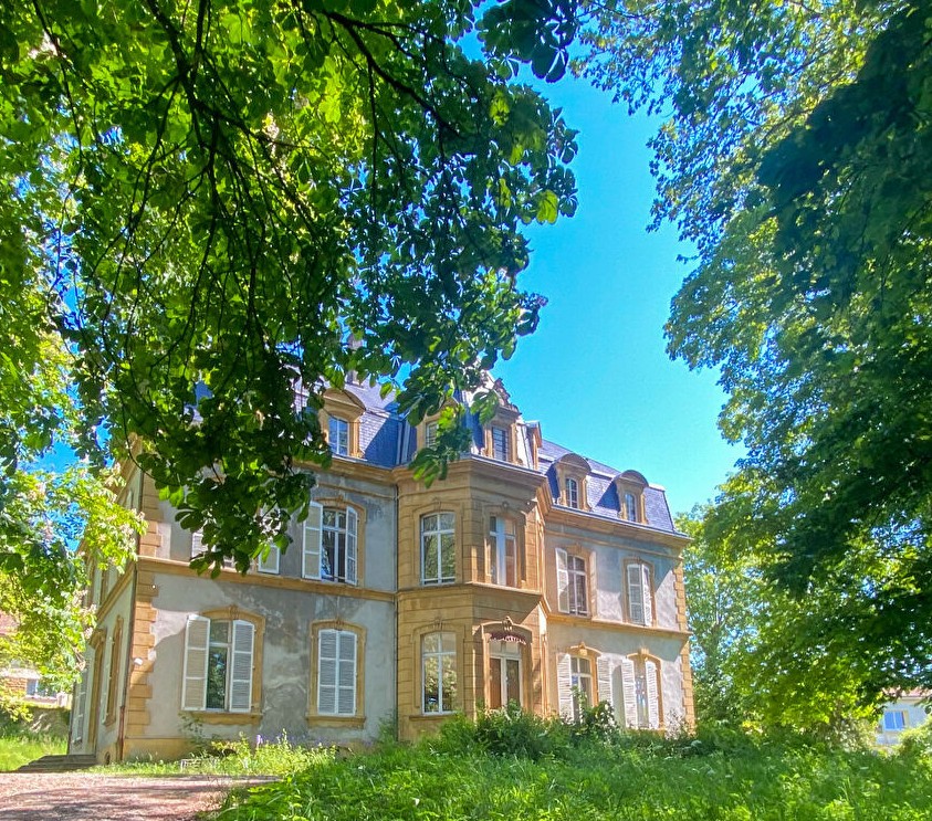 Programme immobilier neuf LE DOMAINE DU CHATEAU – ARS SUR MOSELLE