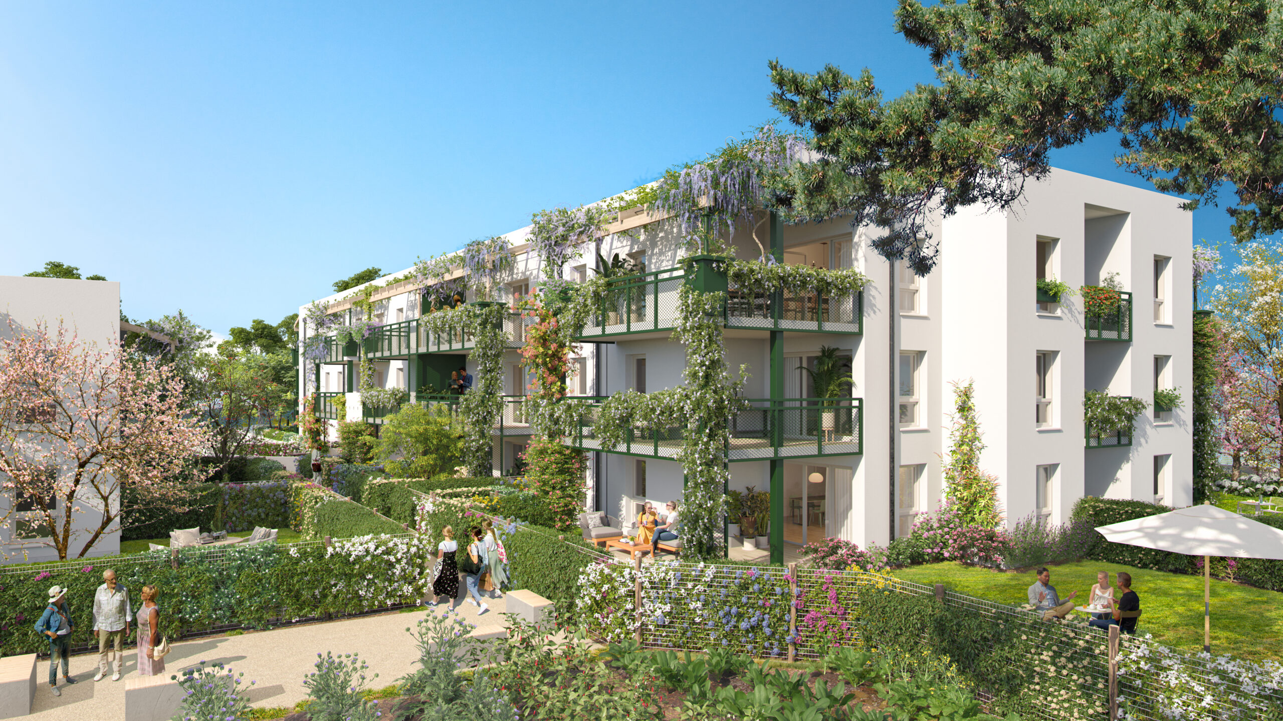 Programme immobilier neuf TOLENA